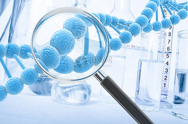 藥渣綜合利用 藥渣綜合利用